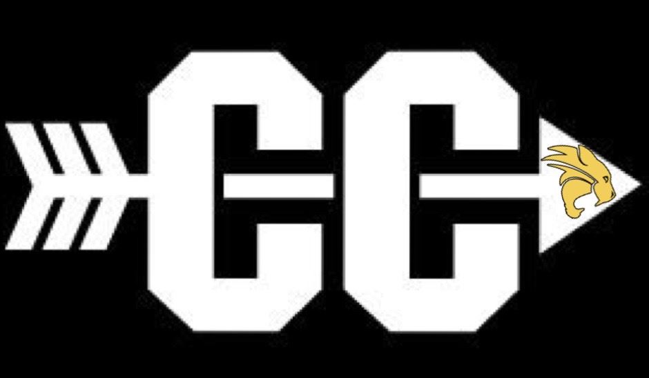 cc
