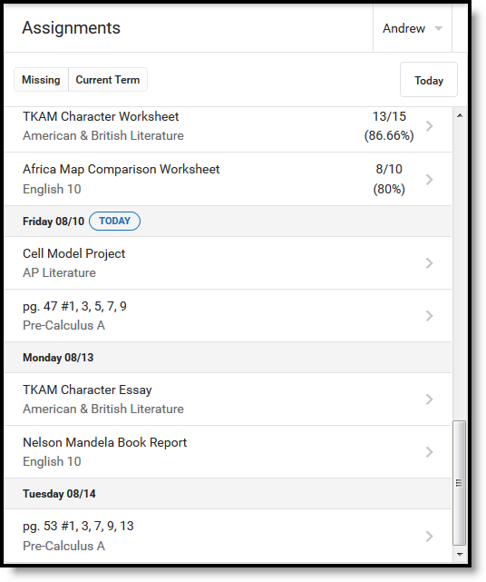 The Assignments tool